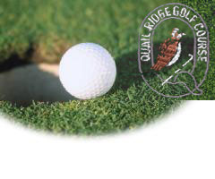 QR.Golf.C.up.left.light.jpeg
